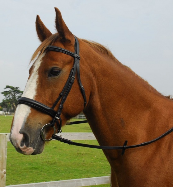 Heritage English Leather Comfort Bridle With Cavesson Noseband