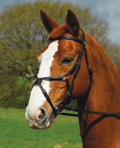 Rhinegold - German Leather Comfort Bridle With Mexican Noseband